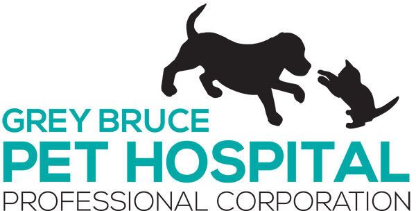 Grey Bruce Pet Hospital 