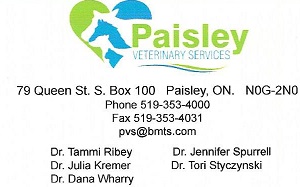 Paisley Veterinary 