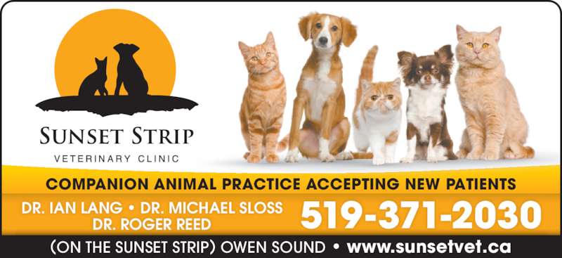 Sunset Strip Veterinary Clinic
