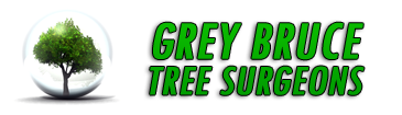 Grey Bruce Tree Surgeons